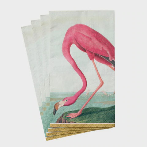 AUDUBON BIRDS GUEST