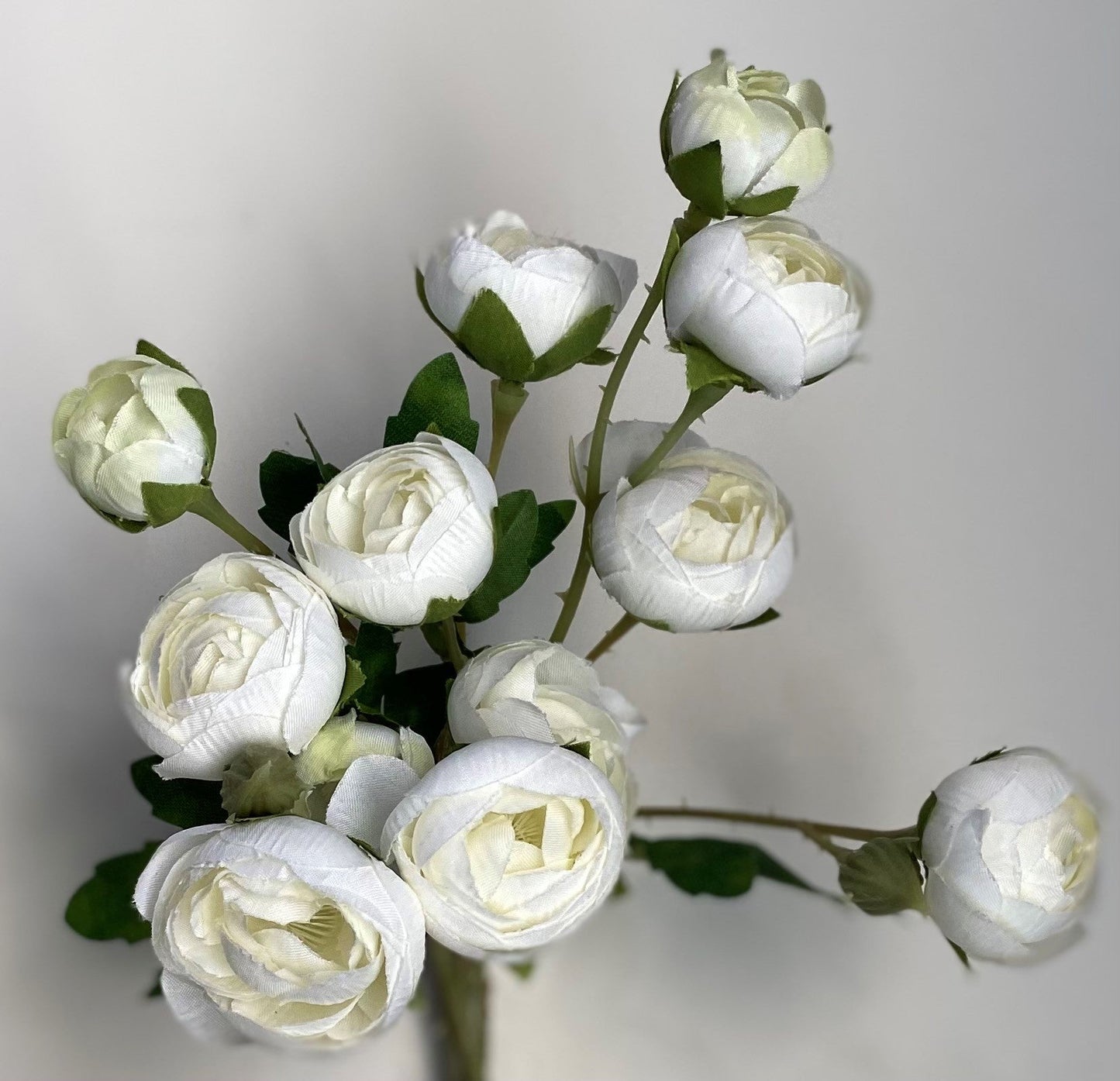 22" WHITE MINI RANUNCULUS SPRAY