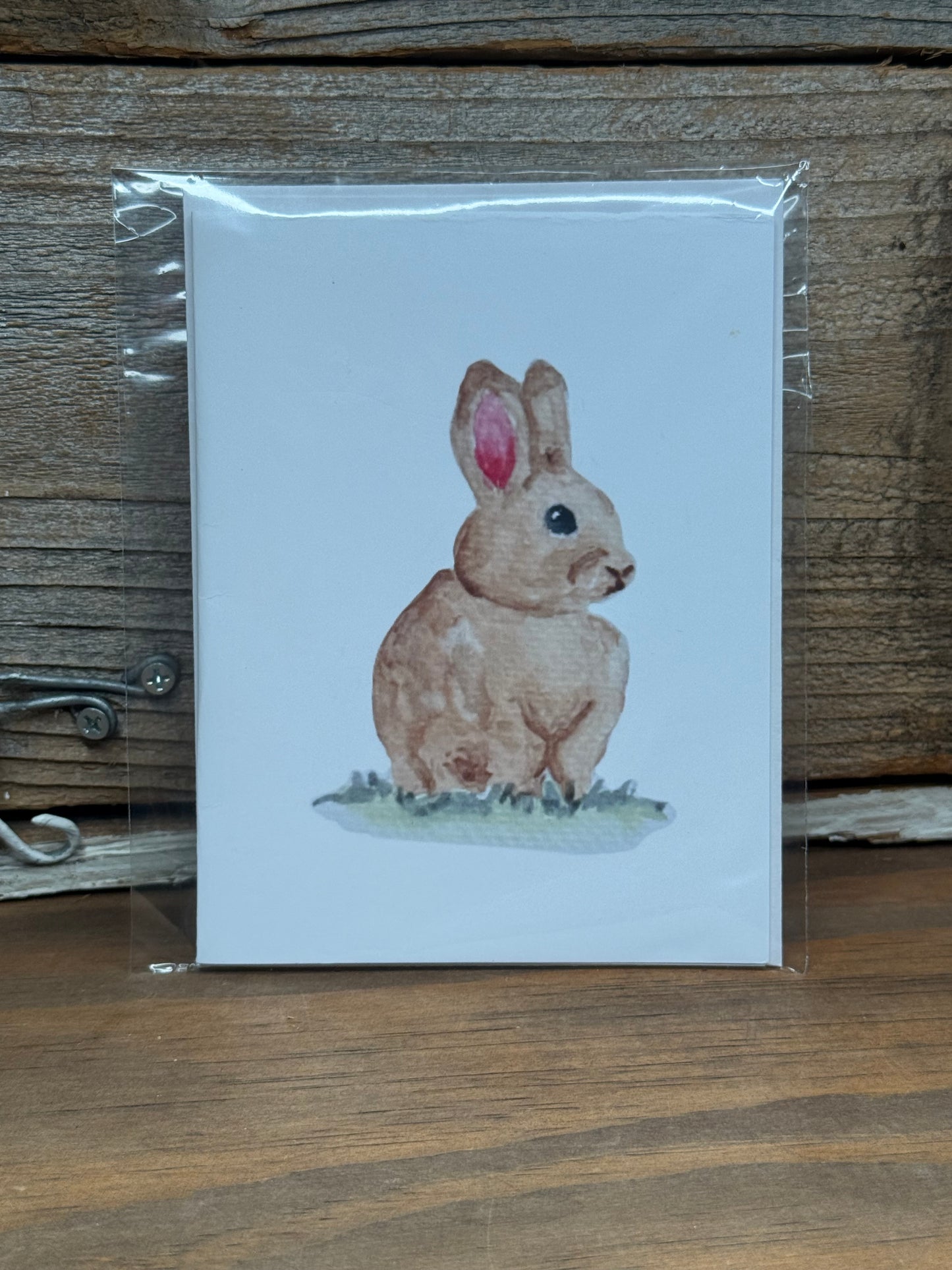 Bunny in Bloom