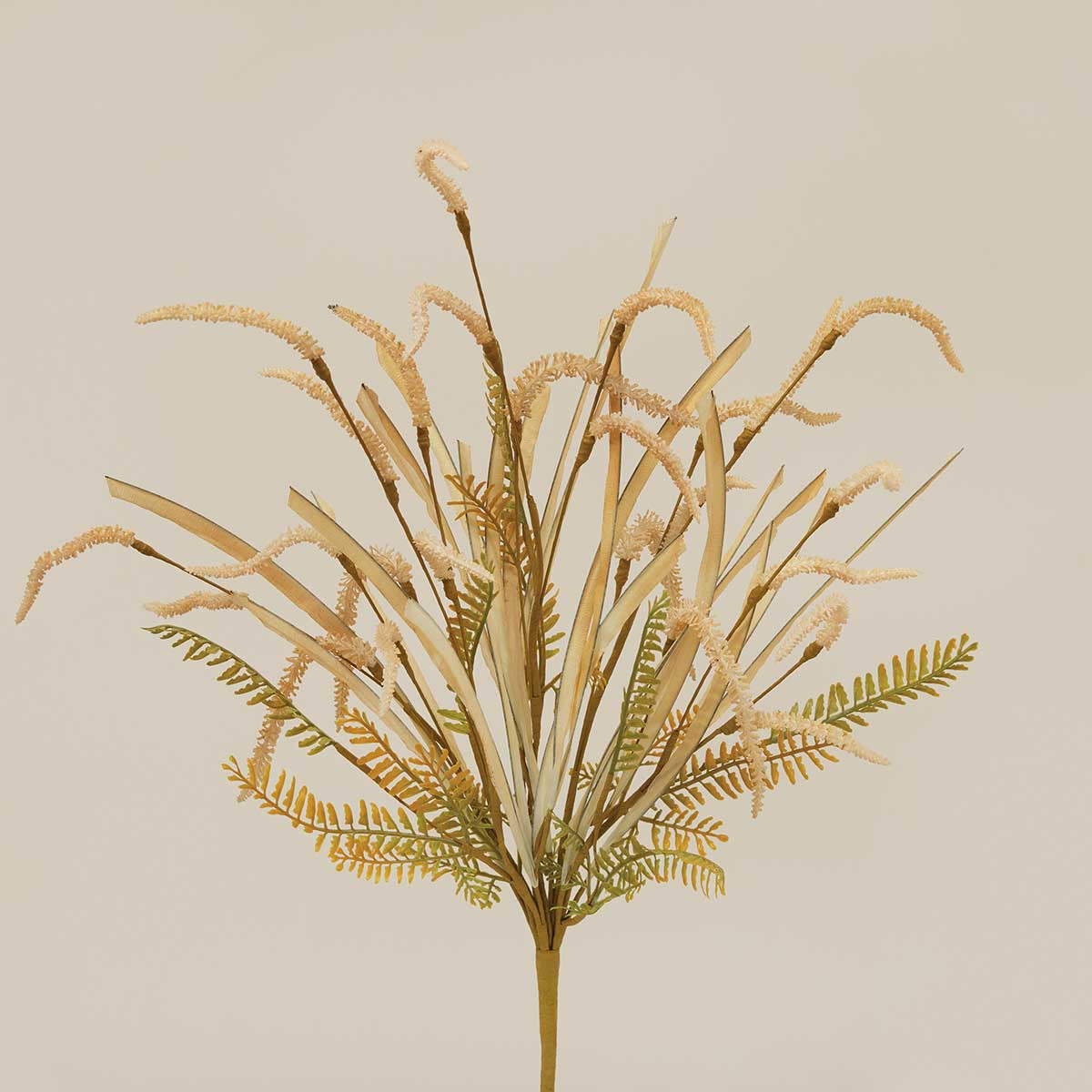 FIELD GRASS BUSH