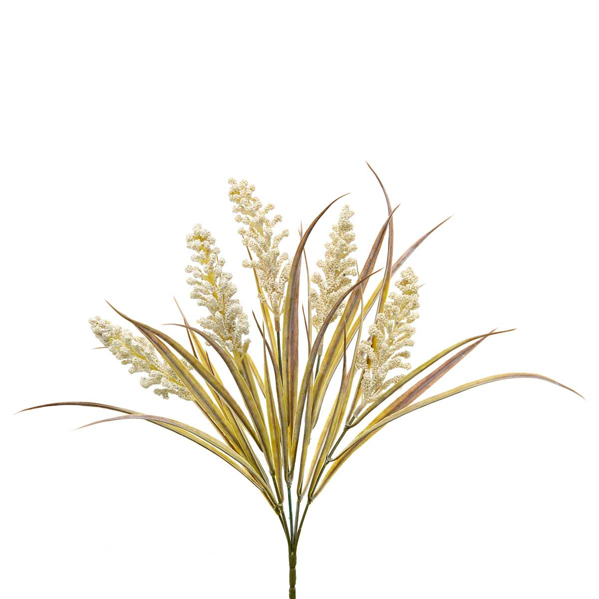 SORGHUM GRASS SPRAY