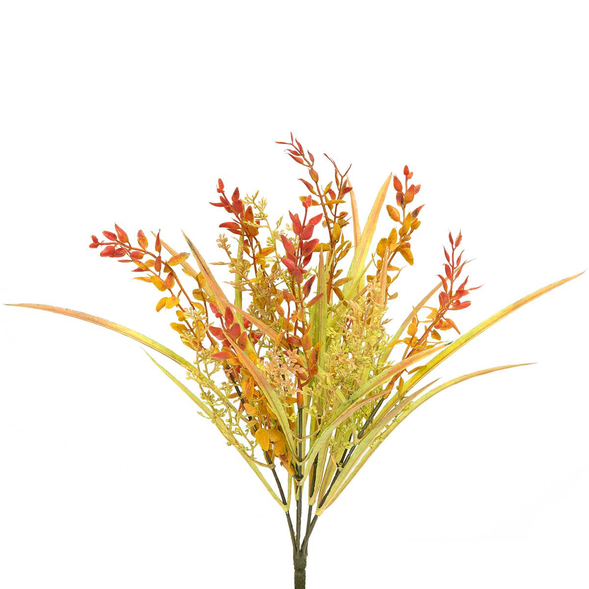 GRASS BLOSSOM FLAME BUSH