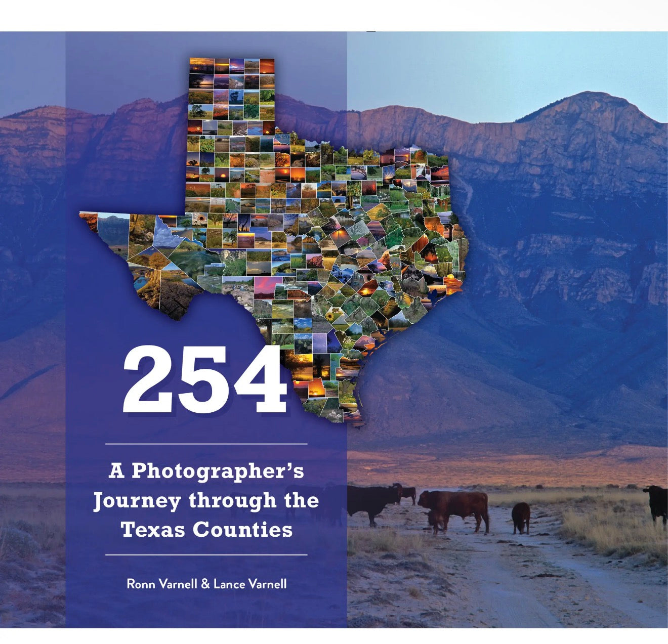 254: A Photographer's Journey Through Every Texas County