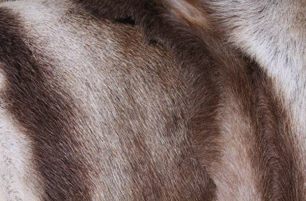 REINDEER/CARIBOU HIDE