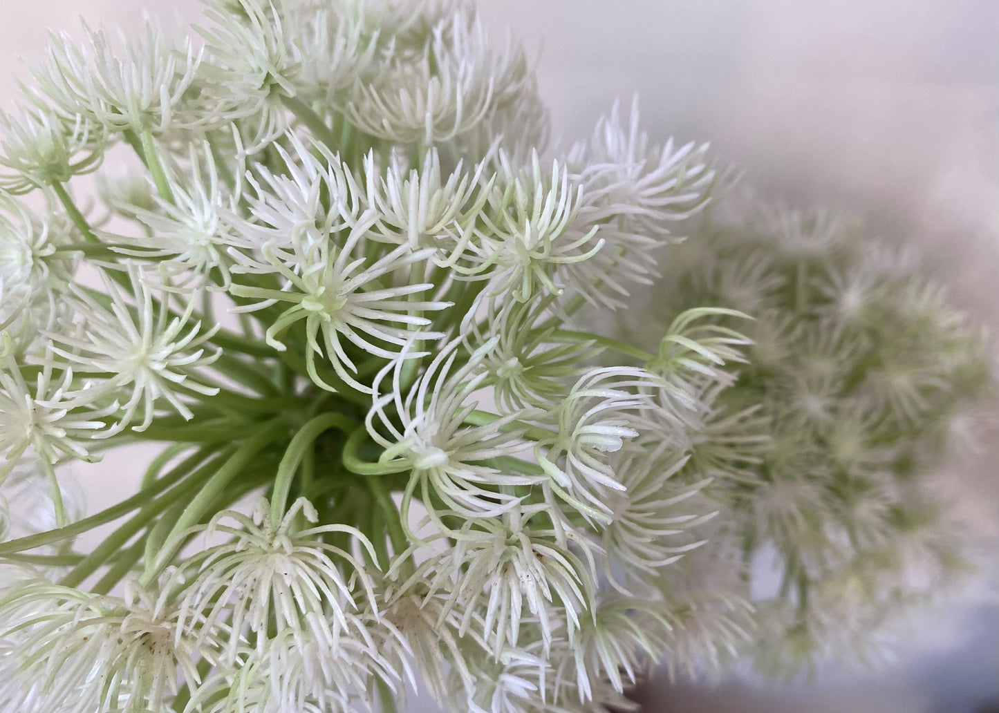 32" GREEN/WHITE BANEBERRY STEM