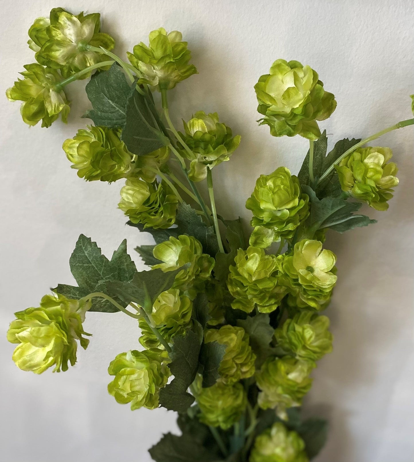39" GREEN HOPS STEM