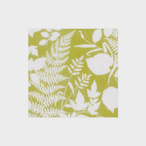 MODERN FERN LIME COCKTAIL