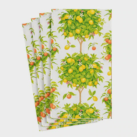 CITRUS TOPIARIES WHITE GUEST