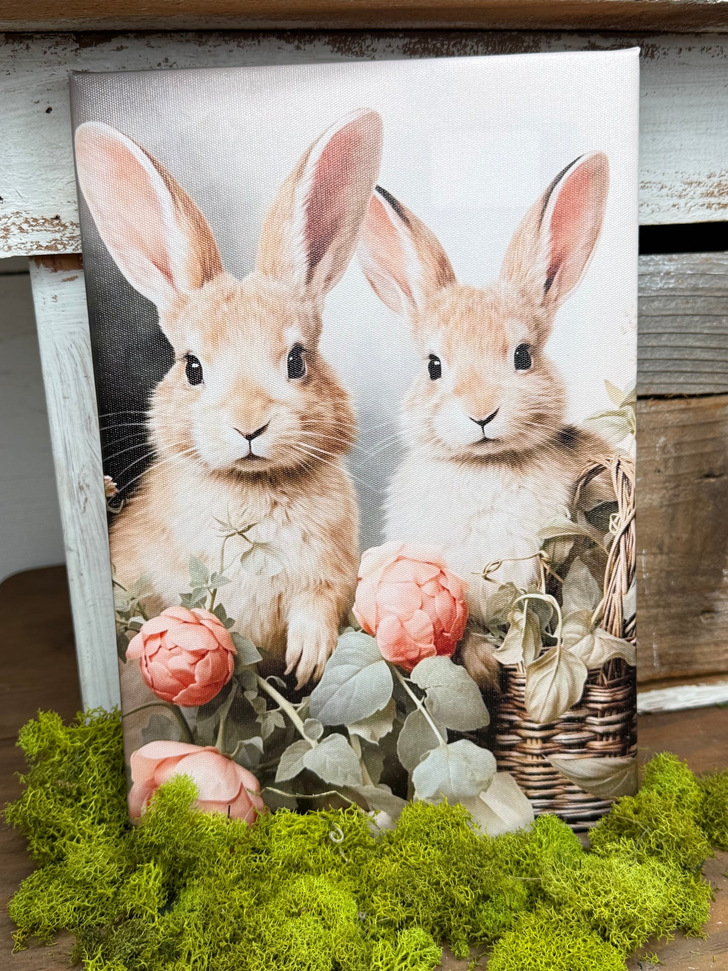 Bunny on Canvas