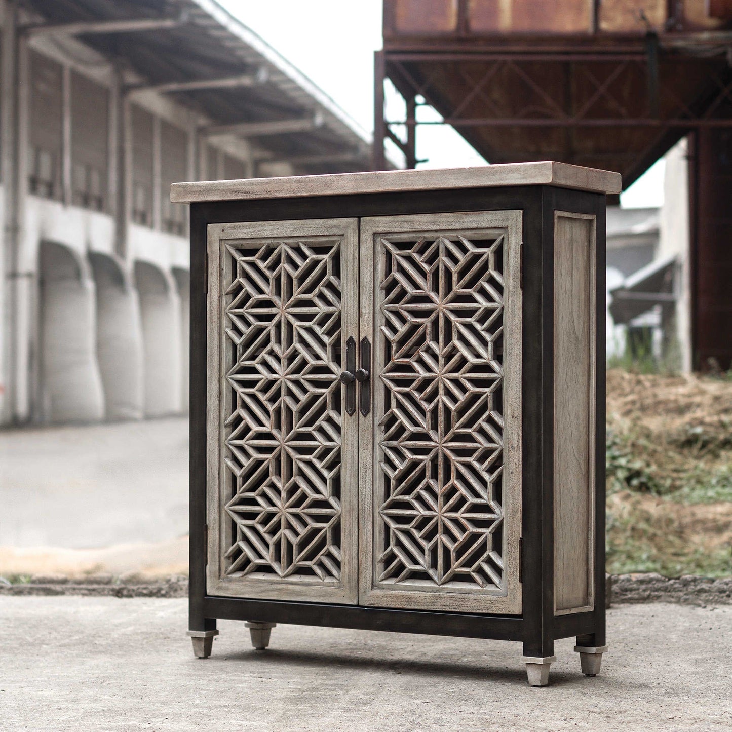 BRANWEN 2 DOOR ACCENT CABINET