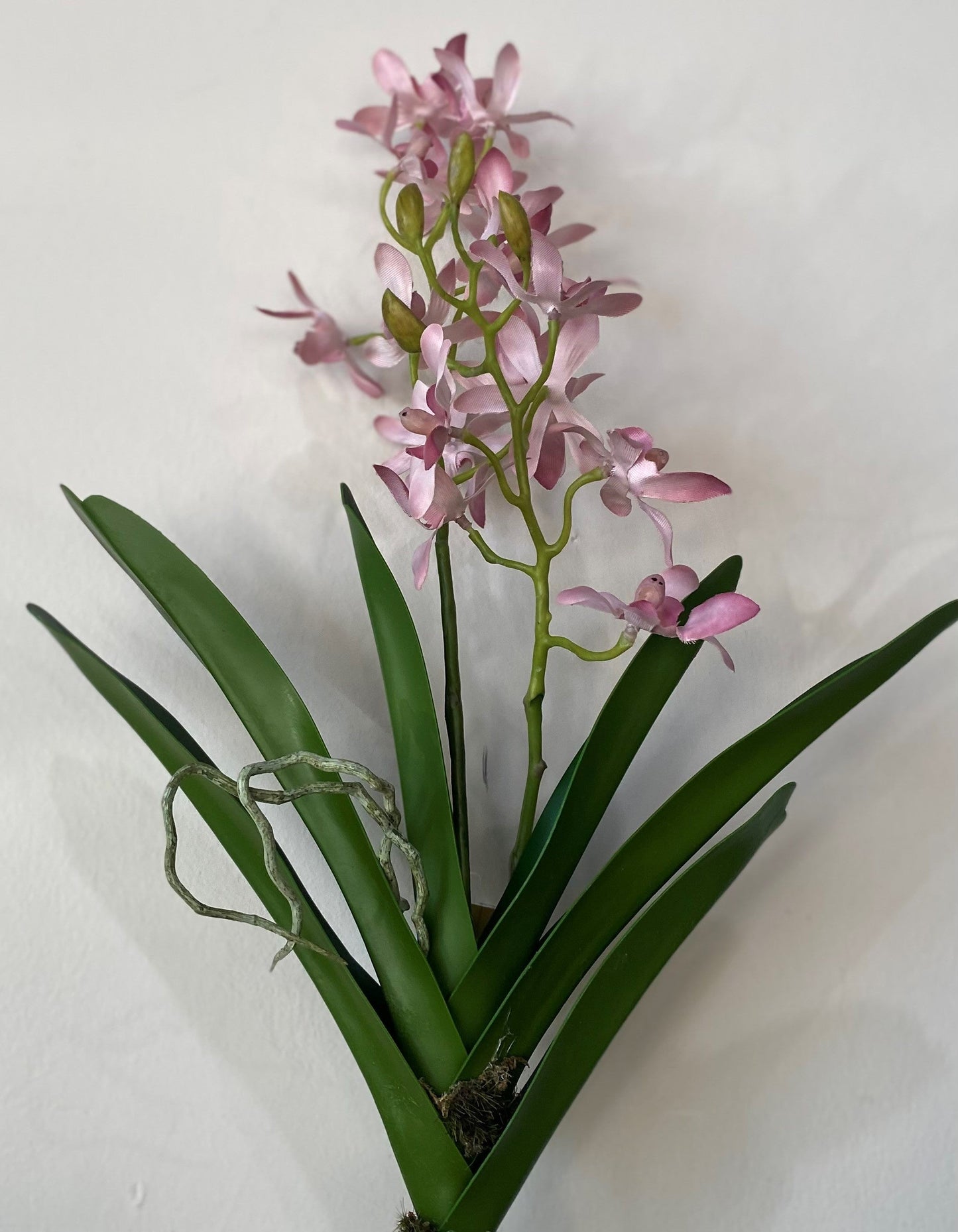 19" VANDA ORCHID PINK