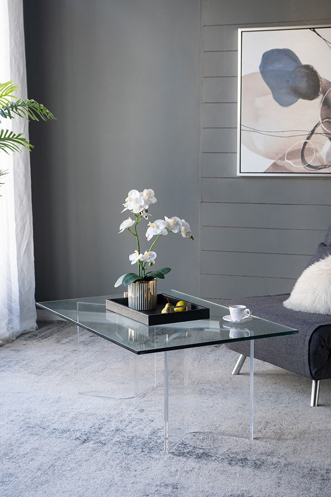 GLASS AND ACRYLIC 45 X 30 COFFEE TABLE