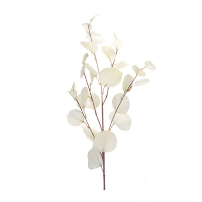 34" CREAM  EUCALYPTUS SPRAY