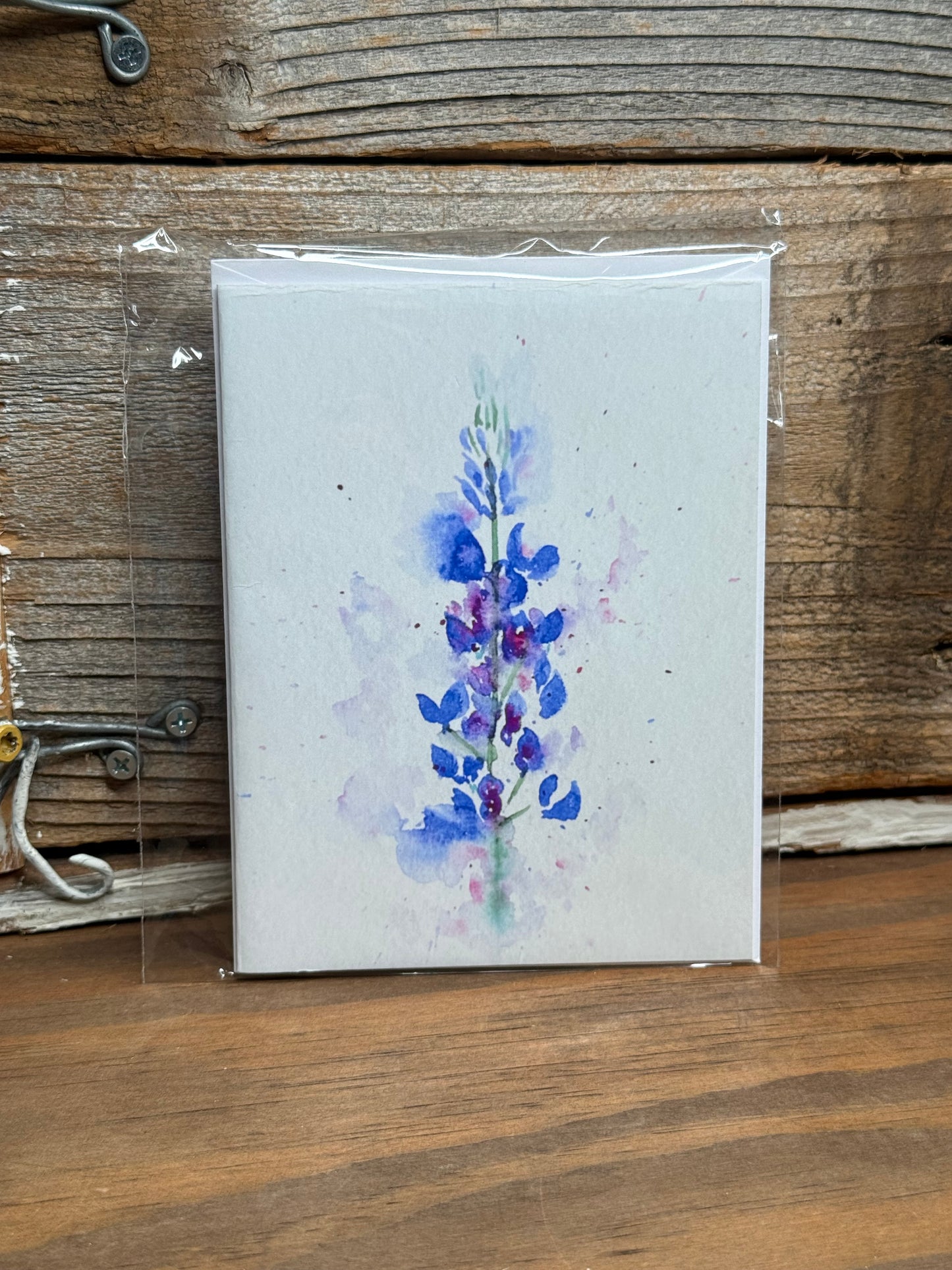 Bluebonnet Bliss