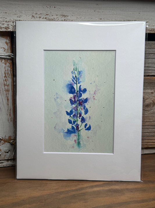 Bluebonnet Bliss