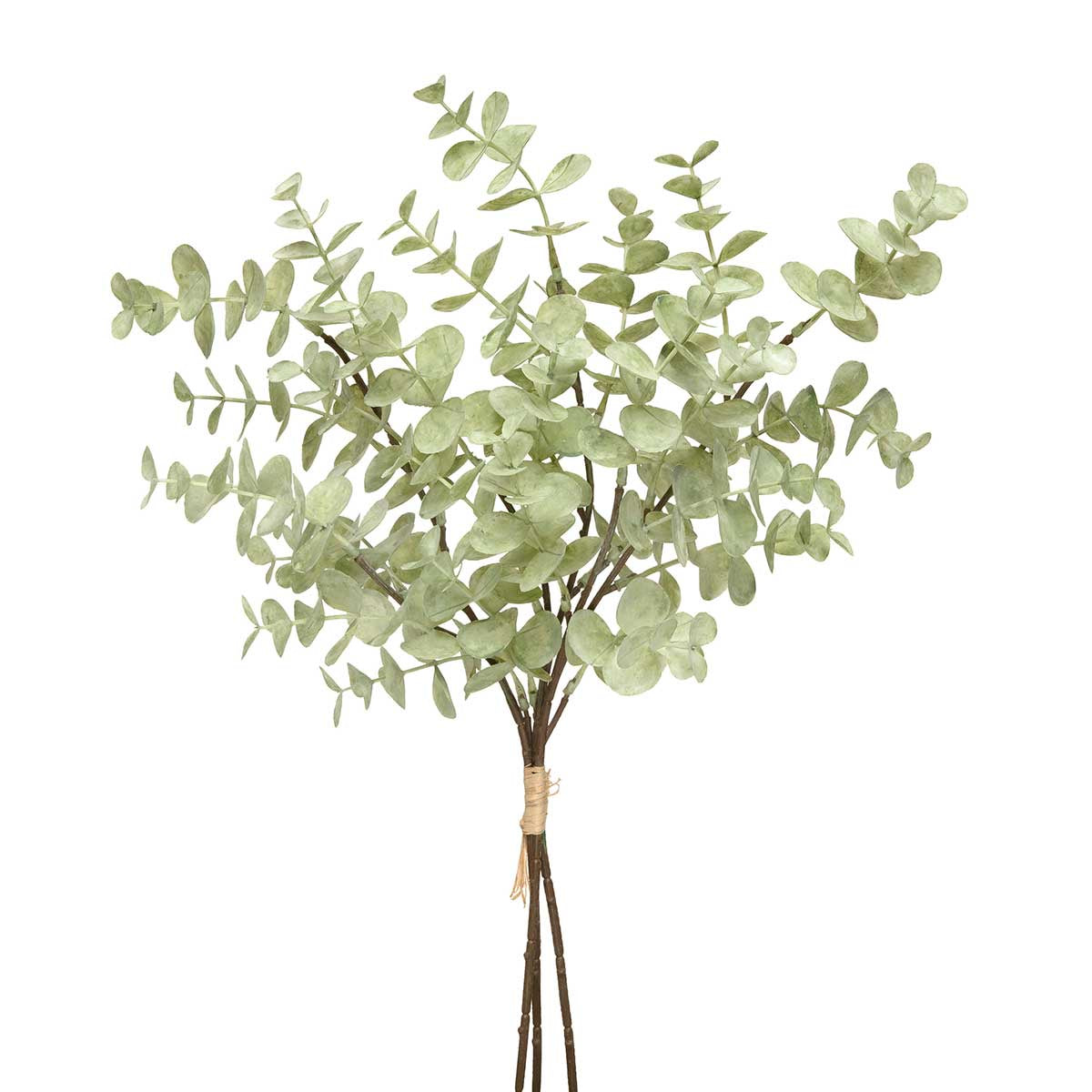 BUNDLE OF 3 EUCALYPTUS