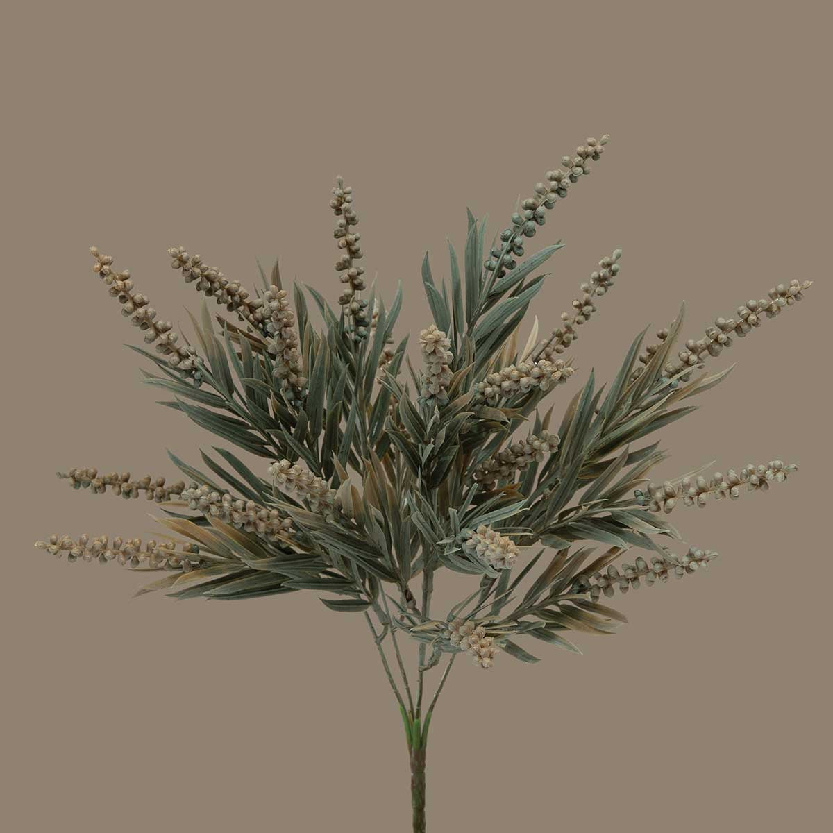 MILLET GRASS SPRAY
