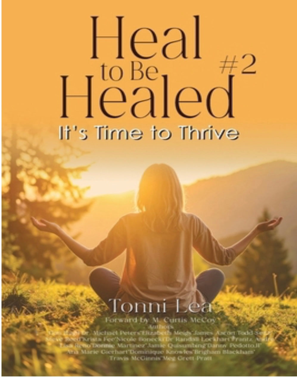 Heal to be Healed #2