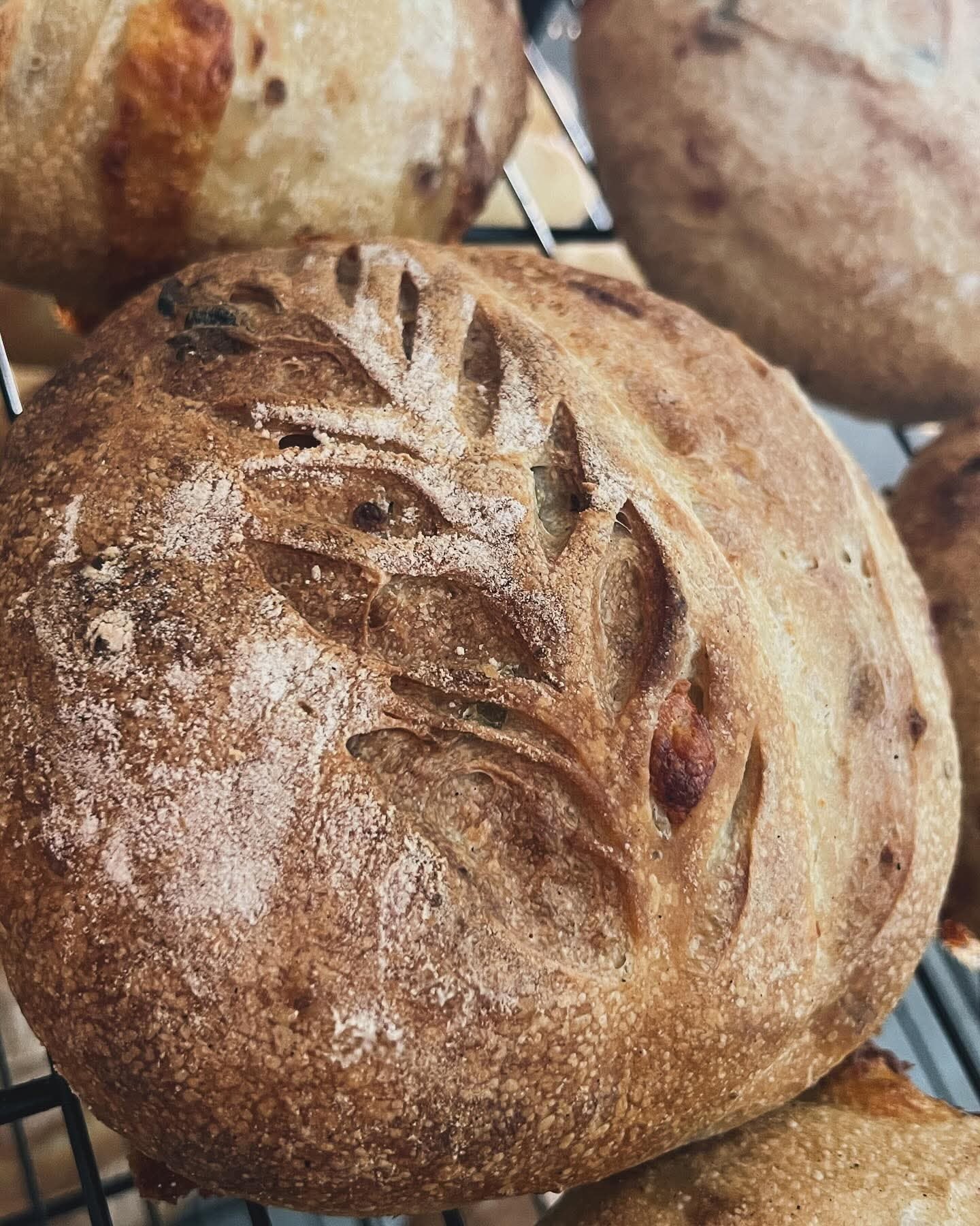 Sourdough Bread