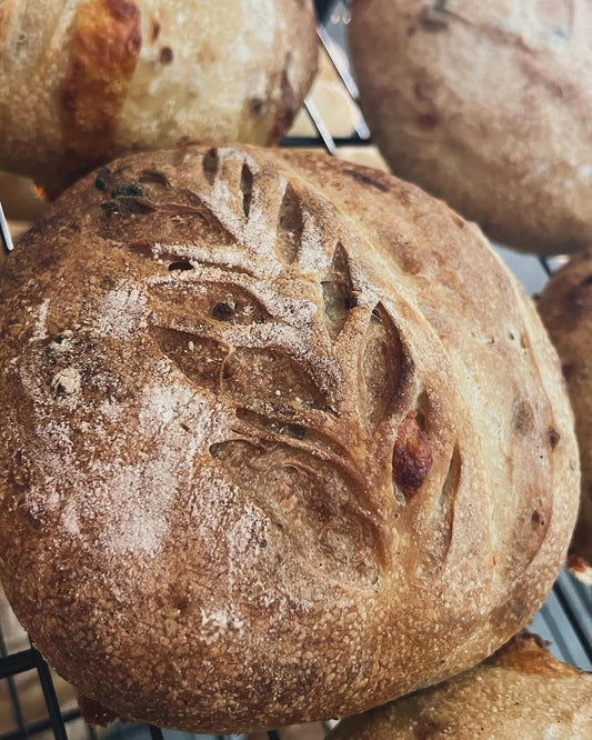 Sourdough Bread