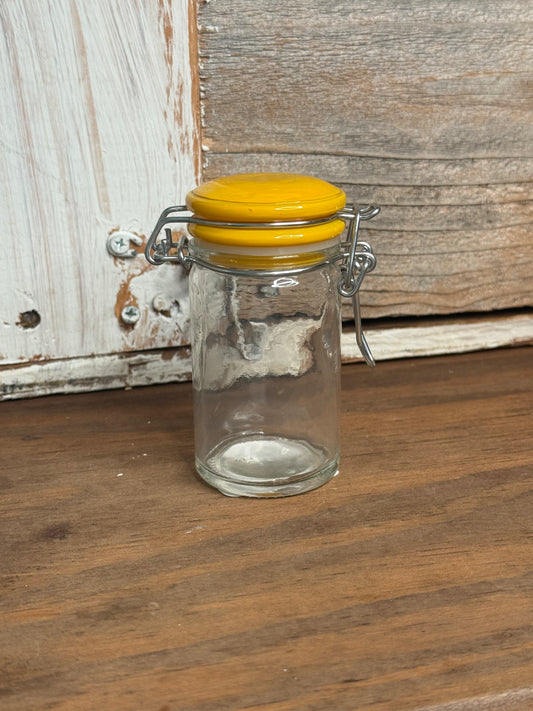Mini Glass Jar w/hinged lid