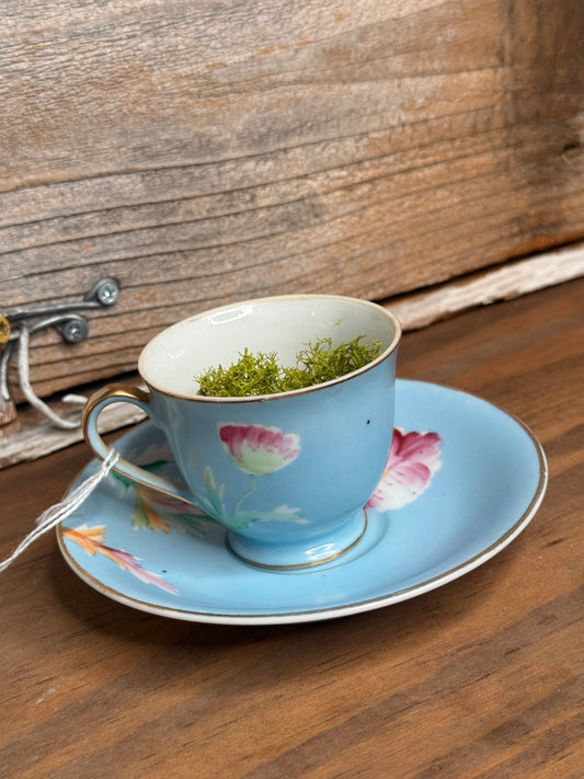 vintage teacup/saucer