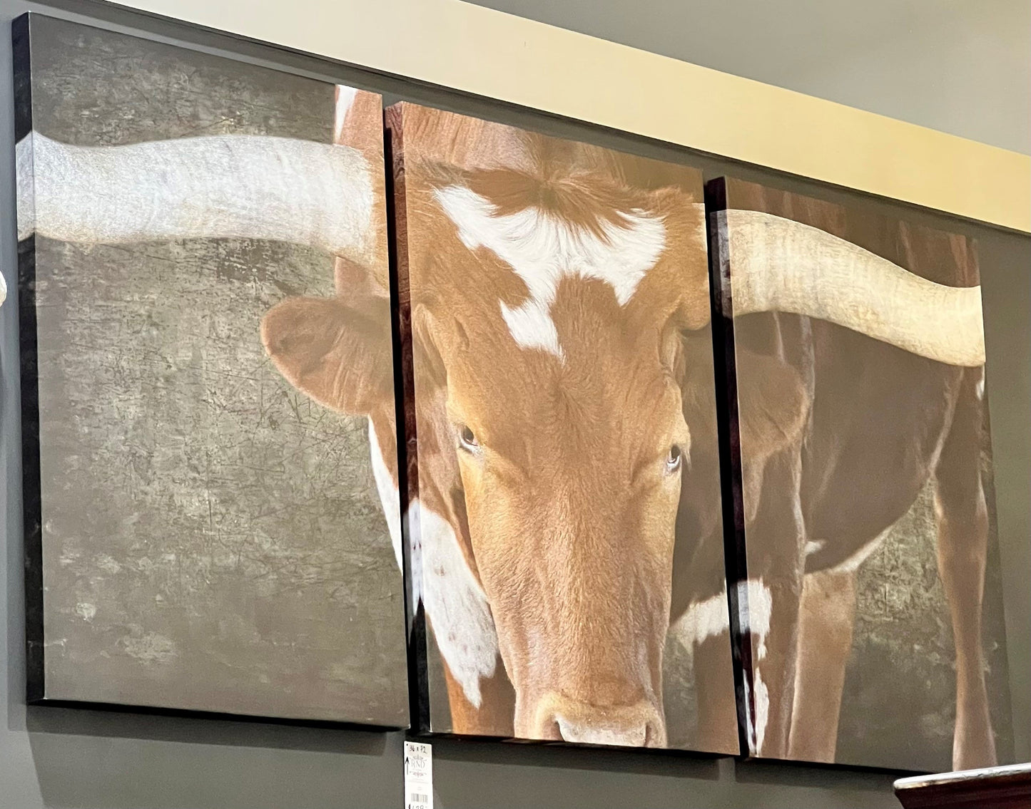 STEER CANVAS TRIPTYCH  36X72