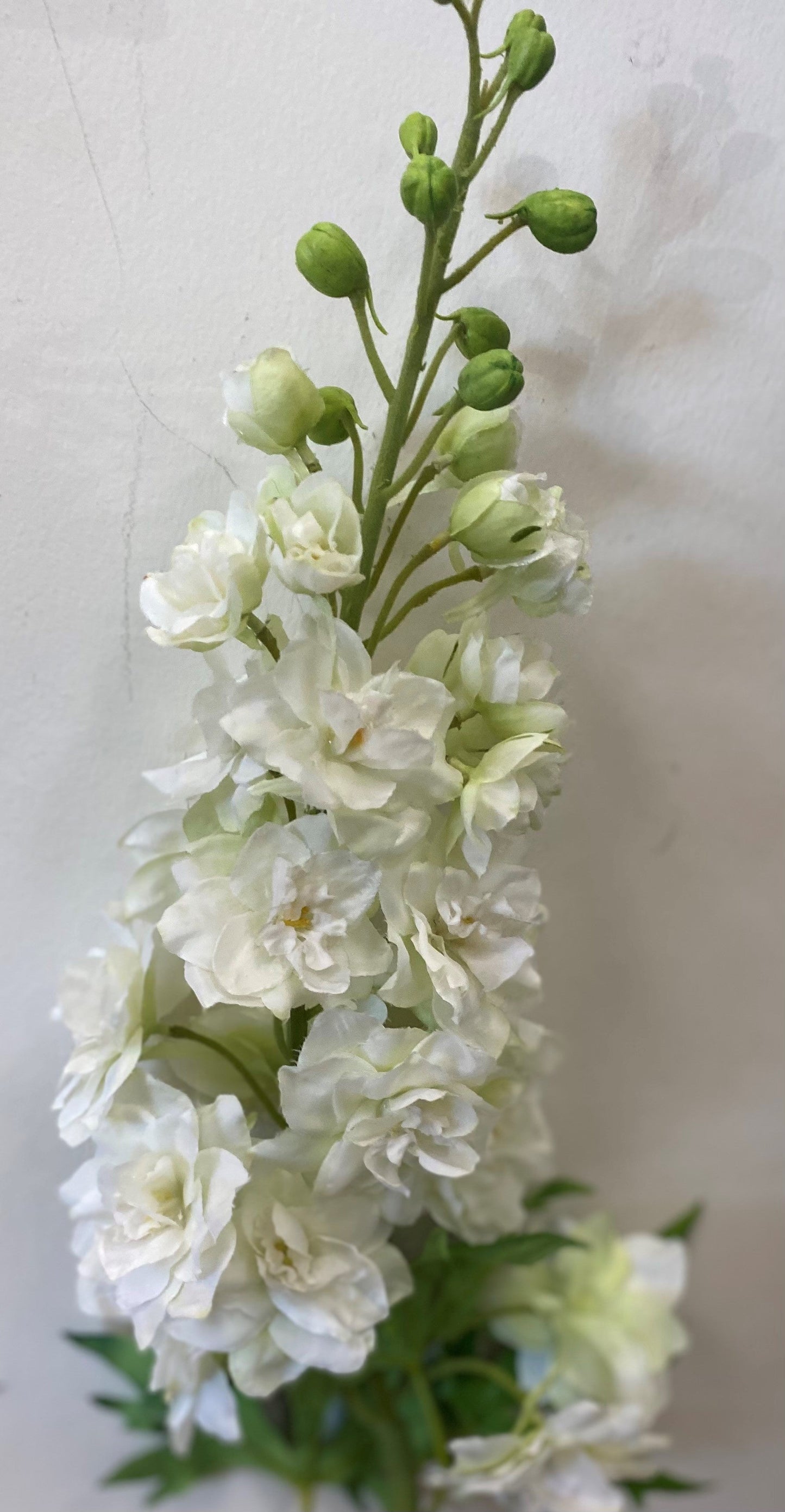 35.5" WHITE DELPHINIUM STEM